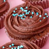 24 Mini Cocoa Cupcakes
