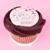 I'm Sorry Cupcake