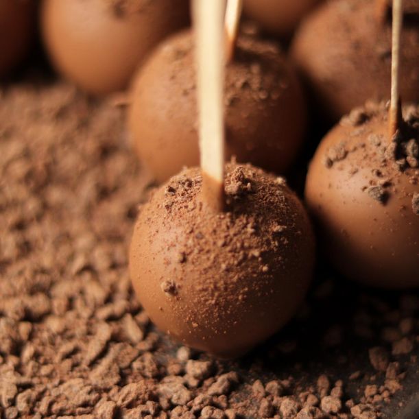Cocoa and Milk Chocolate Cake Pops