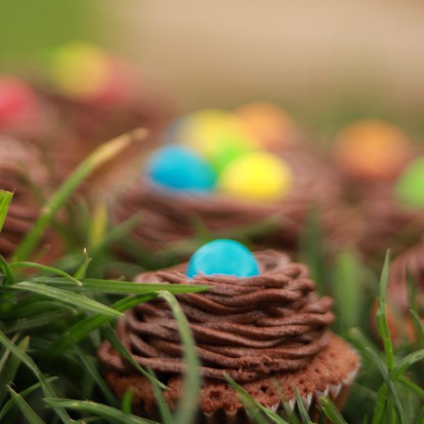 24 Mini Easter Cupcakes