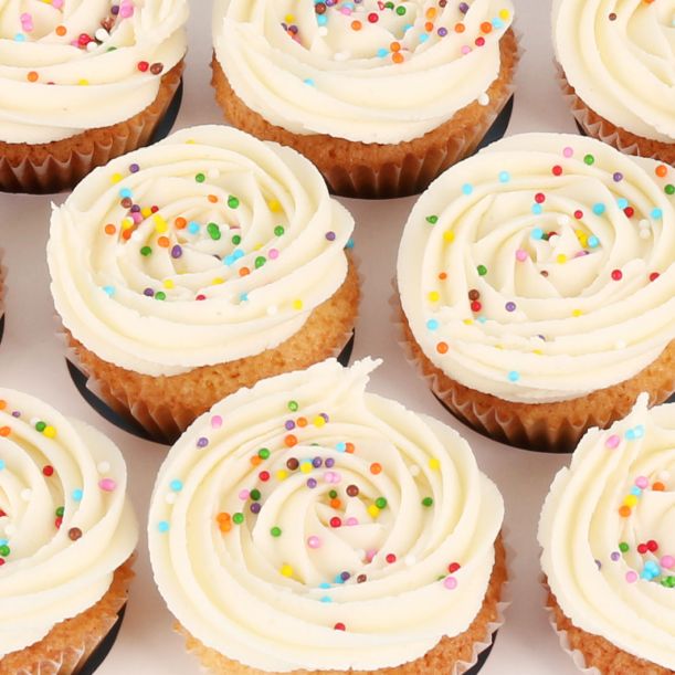24 Mini Vanilla Cupcakes