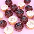 Welcome Cupcakes