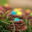 Mini Easter Cupcakes