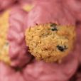 Coconut, Blueberry, and Ruby Chocolate Biscuits