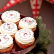 Christmas Mini Vanilla Cupcake Set