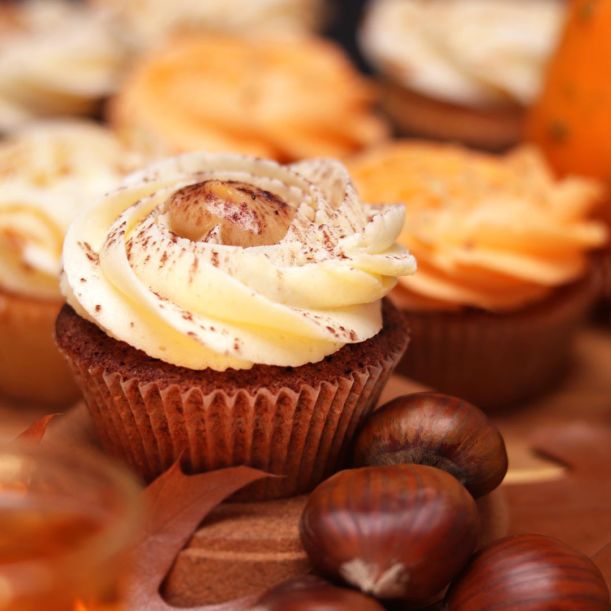 Autumn Fruity Cupcake Collection