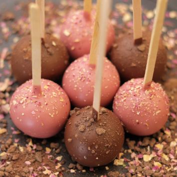 Ruby and Milk Chocolate Vanilla and Cocoa Cake Pops Collection