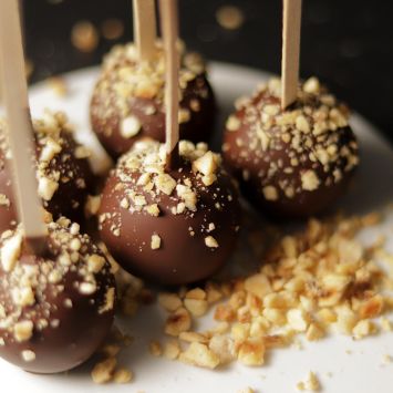 Cocoa and Dark Chocolate Cake Pops